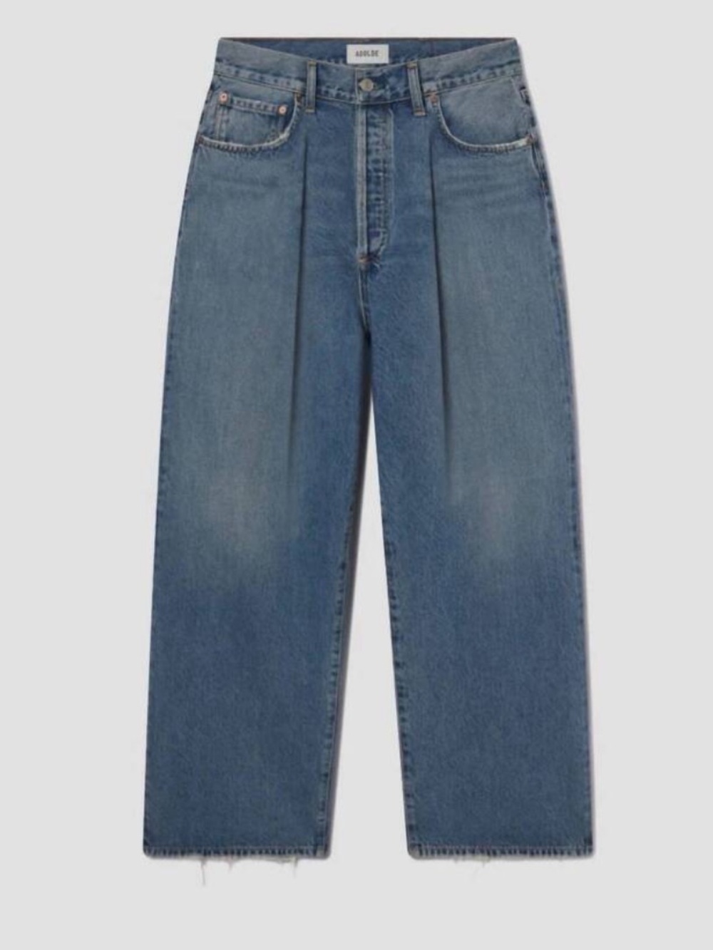 AGOLDE Franka Pleated Baggy (Mantra)